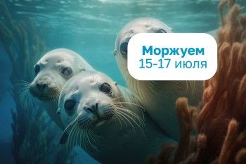 - 25% на входные билеты